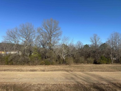 Lake Lot For Sale in Royal, Arkansas