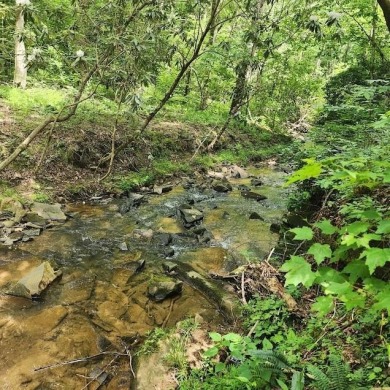 Lake Acreage For Sale in Ellijay, Georgia