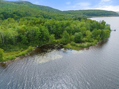 East Musquash Lake Acreage For Sale in Topsfield Maine