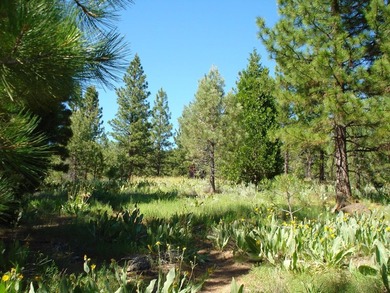 (private lake, pond, coastal) Lot Sale Pending in Portola California