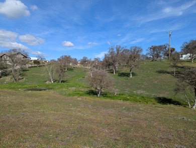 Lake Tulloch Acreage For Sale in Copperopolis California