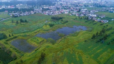 (private lake, pond, coastal) Commercial For Sale in Out of Country Georgia