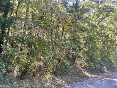 Jackson Lake Lot For Sale in Monticello Georgia