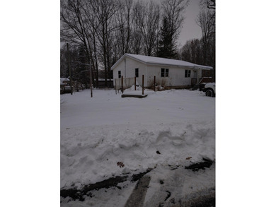 Townline Lake - Montcalm County Home For Sale in Lakeview Michigan