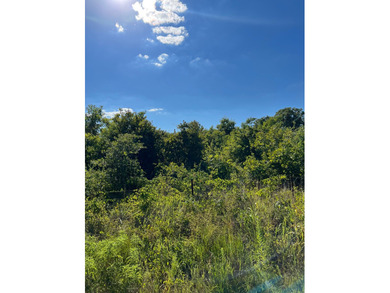 (private lake, pond, creek) Lot For Sale in Asher, OK Oklahoma