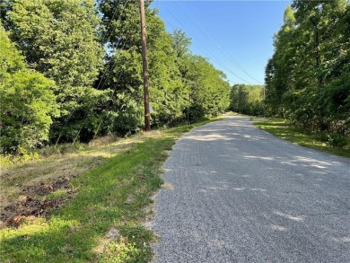 Lake Home For Sale in Holiday Island, Arkansas