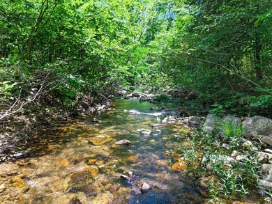 Rarely does a property this complete come to market. Located in - photo 16
