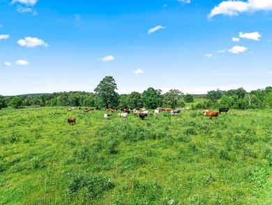 Rarely does a property this complete come to market. Located in - photo 23