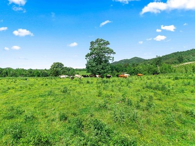 Rarely does a property this complete come to market. Located in - photo 33