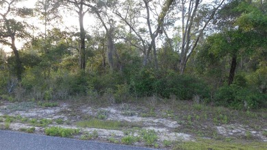 Beautiful Lot (26) in Silver Glen subdivision, are you ready for - photo 4