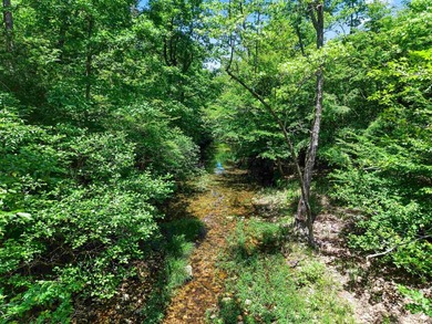 Rarely does a property this complete come to market. Located in - photo 40