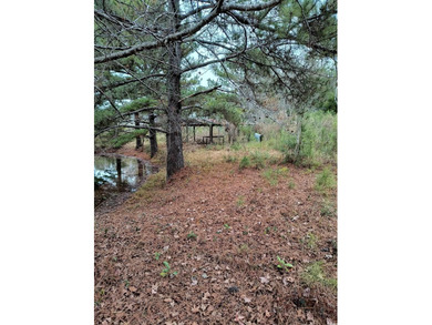 (private lake, pond, coastal) Lot For Sale in Conway South Carolina