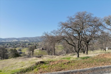 Lake Lot For Sale in Copperopolis, California