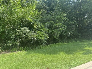 The LAST available lot! Build your dream home on this beautiful - photo 1