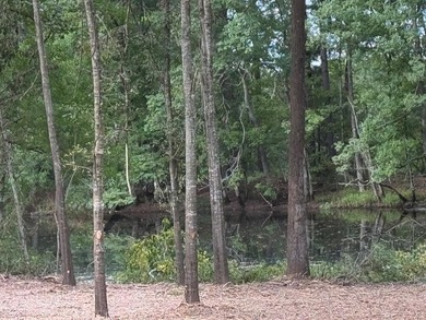 Lake Acreage For Sale in Shelbyville, Texas