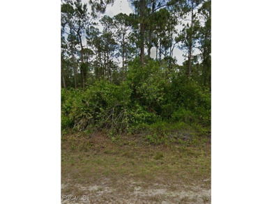 Lehigh Acres Area Lot For Sale in Alva Florida