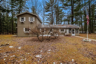 Lake Home For Sale in Irons, Michigan