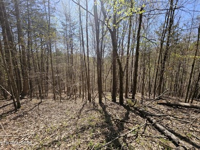 Very private 5.22 acres with one of very few properties with a - photo 11