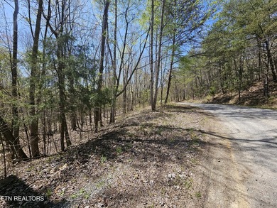 Very private 5.22 acres with one of very few properties with a - photo 12