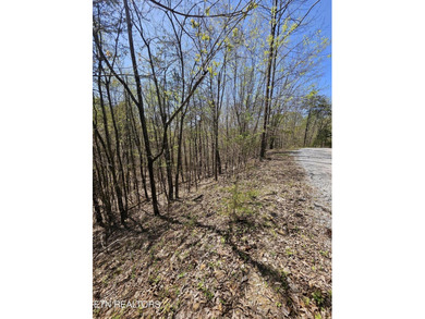 Very private 5.22 acres with one of very few properties with a - photo 13