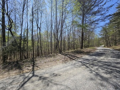 Very private 5.22 acres with one of very few properties with a - photo 14