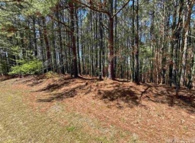 Lake Granada Lot For Sale in Hot Springs Village Arkansas