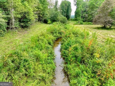 Lake Acreage For Sale in Blue Ridge, Georgia