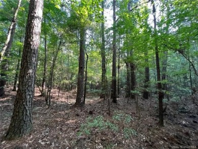 Lake Lot For Sale in Jennings, Louisiana