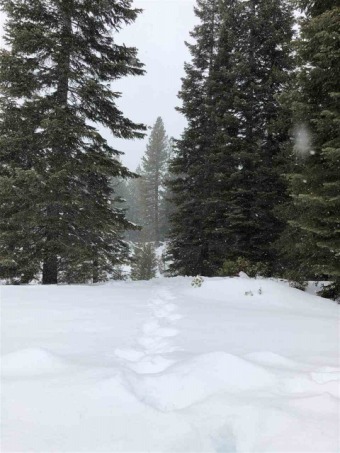 Lake Almanor Lot For Sale in Lake Almanor California