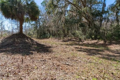 PRIVATE DEEP WATER PROPERTY, SOUTH NEWPORT RIVER, PRE-APPROVED - photo 8