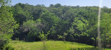 INCREDIBLE land! Keep all 73 acres where you can't see another - photo 22