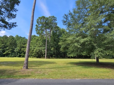 Lake Lot For Sale in Manning, South Carolina