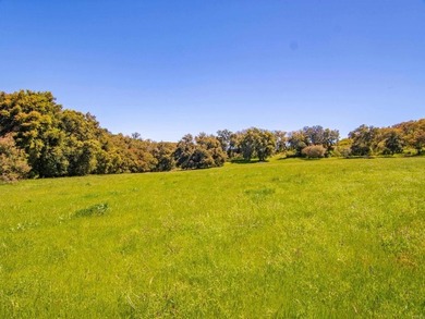 Situated in the heart of San Diego County's unspoiled mountains - photo 5