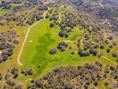 Situated in the heart of San Diego County's unspoiled mountains - photo 8