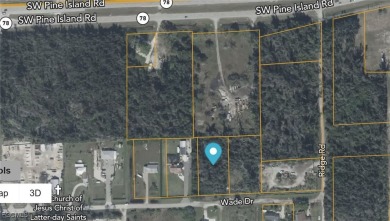Cape Coral Lakes Area Commercial For Sale in Cape Coral Florida