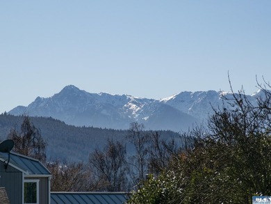 Two adjoining lots totaling 0.41 acres in Sequim's coveted - photo 8