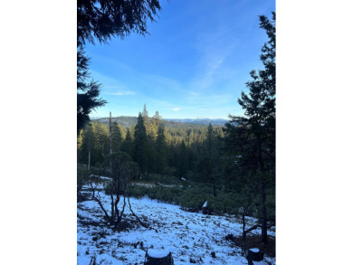 Lakemont Pines Lake Lot For Sale in Arnold California