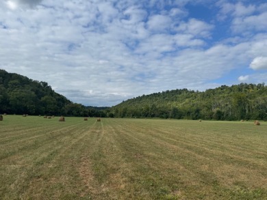 Lake Acreage For Sale in Irvine, Kentucky