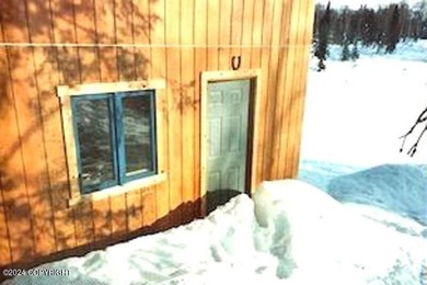 REMOTE with easy floatplane access. Three individual lakefront - photo 8