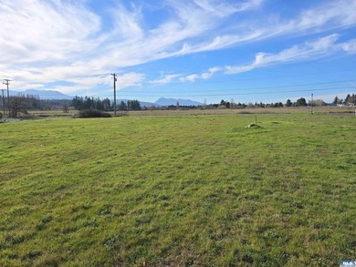 Palmco Business Park property available in Downtown Sequim. City - photo 1