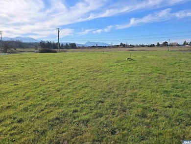 Palmco Business Park property available in Downtown Sequim. City - photo 4