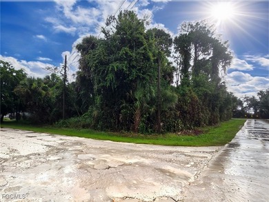 Build your dream home in the heart of North Fort Myers! This - photo 1