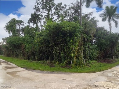 Build your dream home in the heart of North Fort Myers! This - photo 4