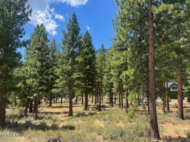 Lake Tahoe - Douglas County Lot For Sale in Carson City Nevada