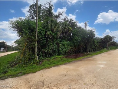 Build your dream home in the heart of North Fort Myers! This - photo 3