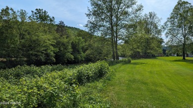 (private lake, pond, creek) Lot For Sale in Hughesville Pennsylvania