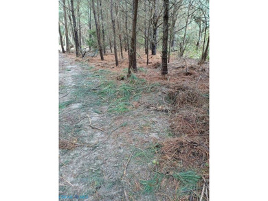 Potomac River Acreage Sale Pending in Washington Virginia