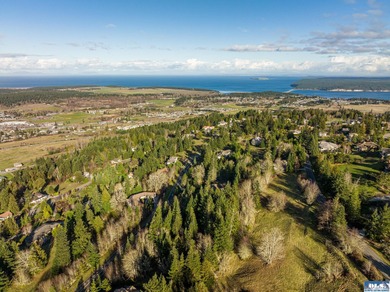 Water view parcel on the uphill side of Owl's Nest Rd. on Bell - photo 15