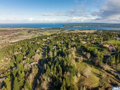 Water view parcel on the uphill side of Owl's Nest Rd. on Bell - photo 16