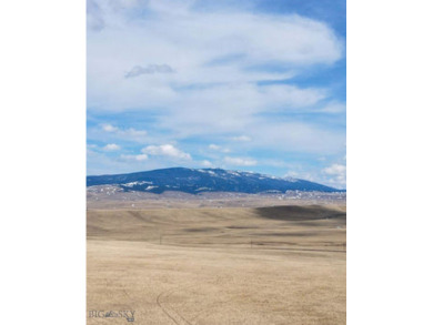 (private lake, pond, creek) Acreage For Sale in Buffalo Montana